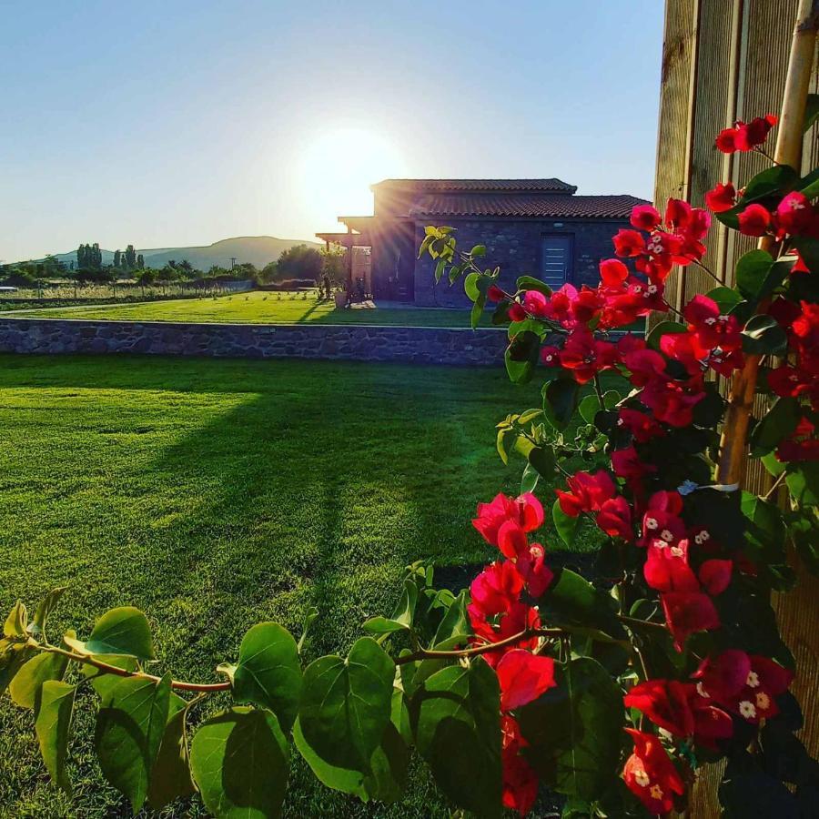 Lithos Villas Skála Eresoú Buitenkant foto
